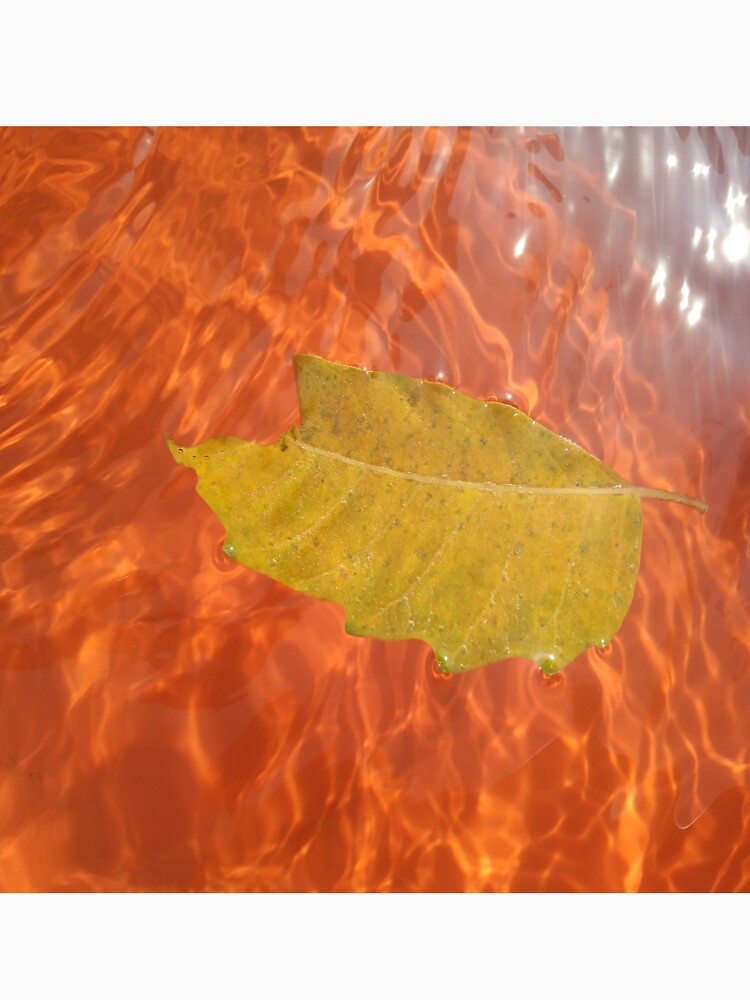 Leaf with water by The-design24