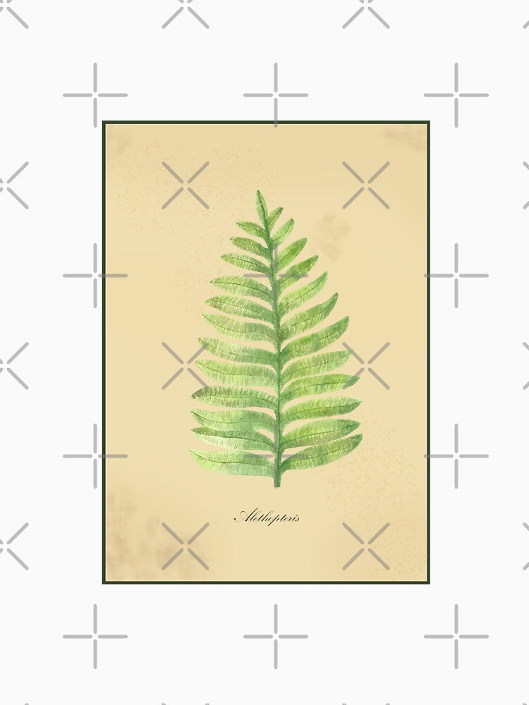 Alethopteris, fossil fern by SharonRoseR