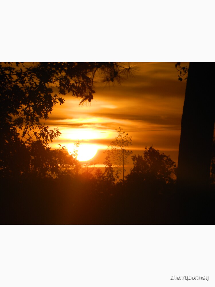 Beautiful Sunset by sherrybonney