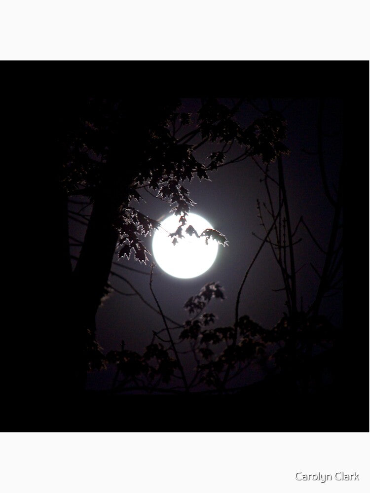 Under a Magic Moon 2 by Carolyn Clark