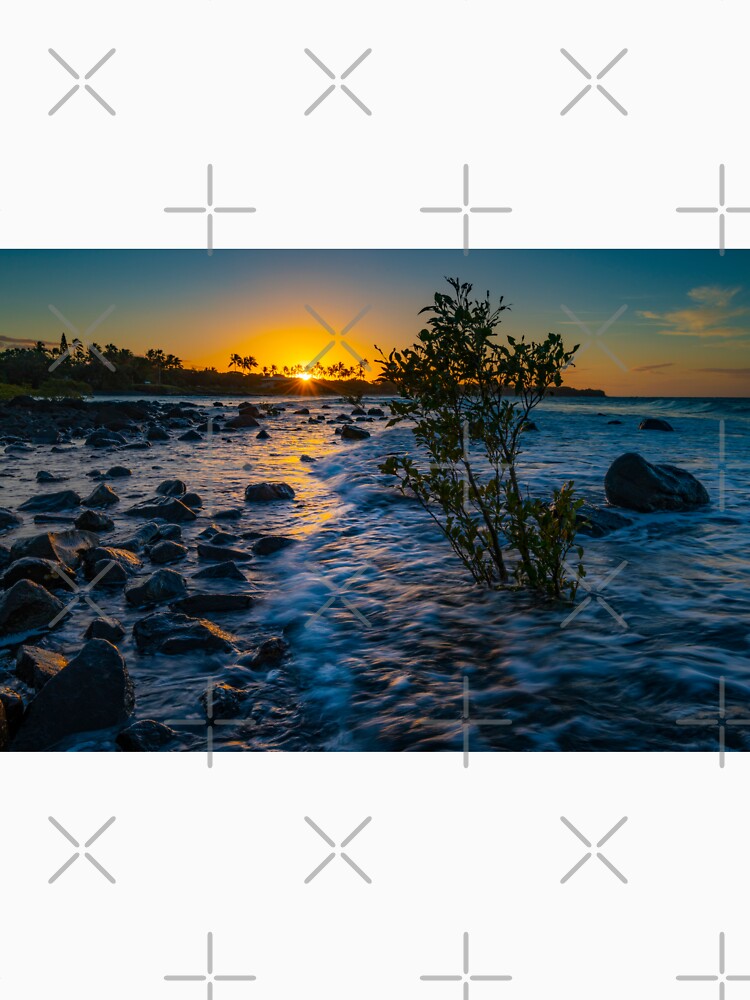 Neilsen Park Bargara by Adrian Alford Photography