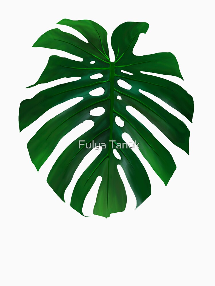 Monstera by Fulya Tanak