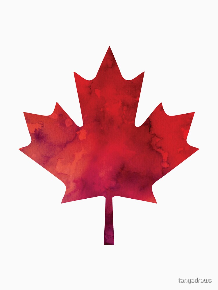 Canada Day Watercolour Maple Leaf Pattern by tanyadraws