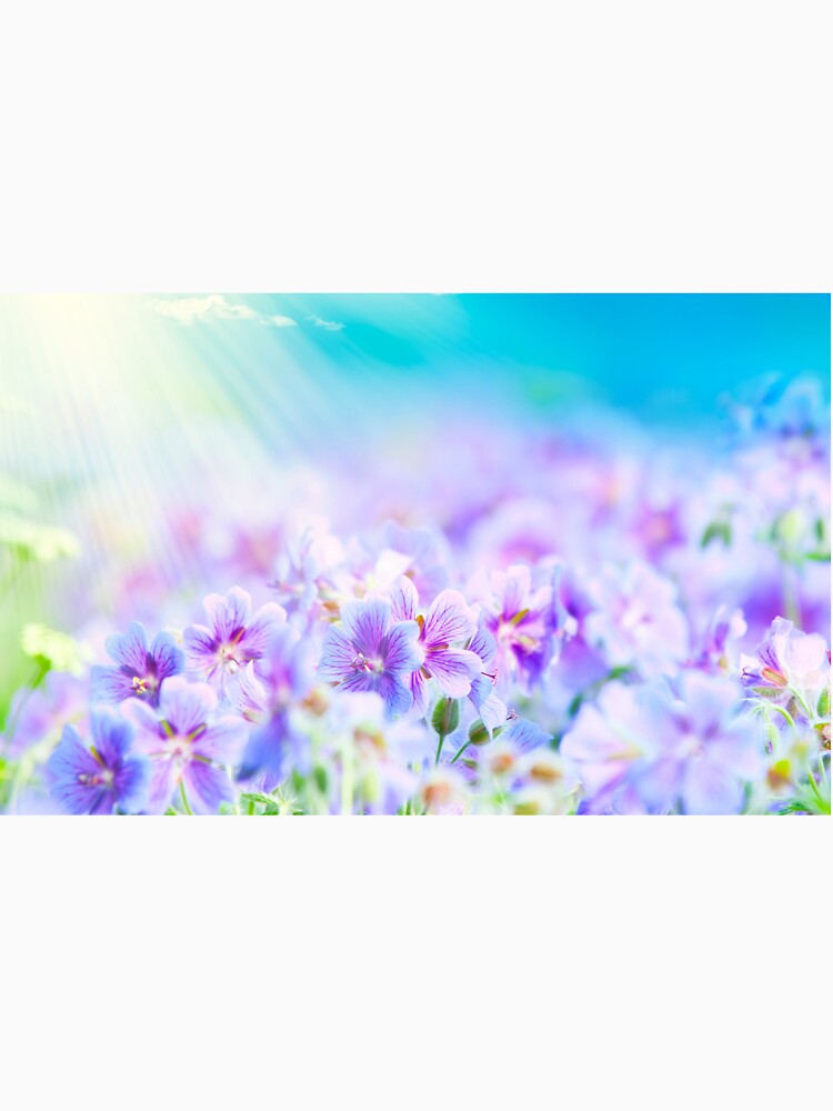 Purple and Turquiose Floral Merchandise by cindyfordyce