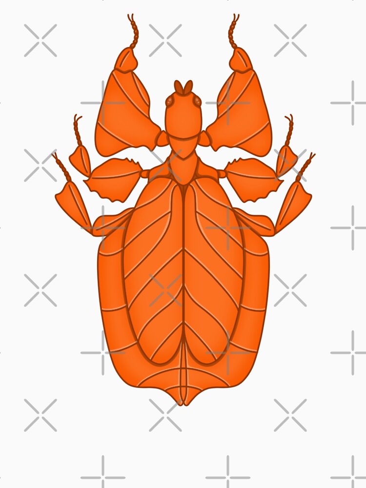 Walking Leaf Insect (Orange) by buggyfriends
