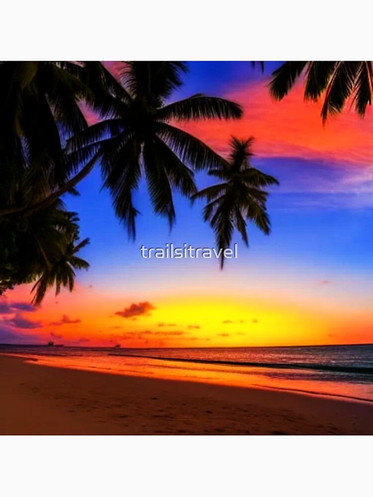 Tropical Beach by trailsitravel