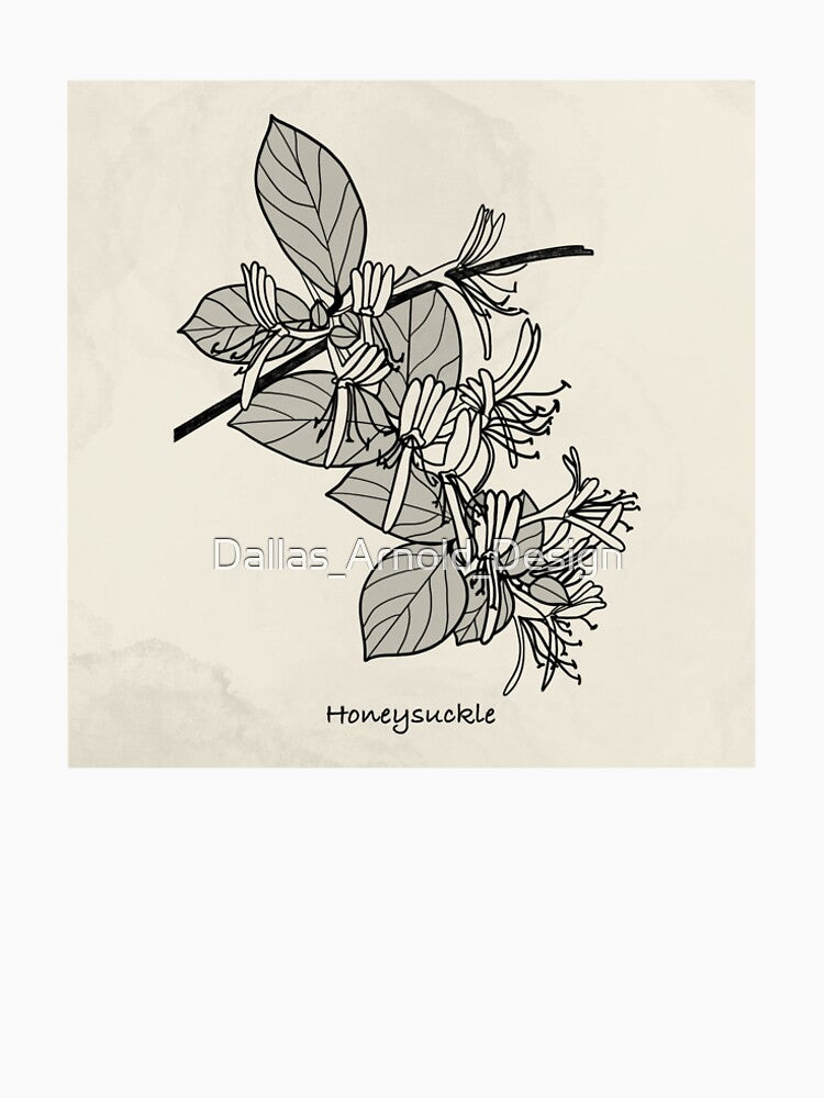 Botanical illustration: Honeysuckle by Dallas_Arnold_Design