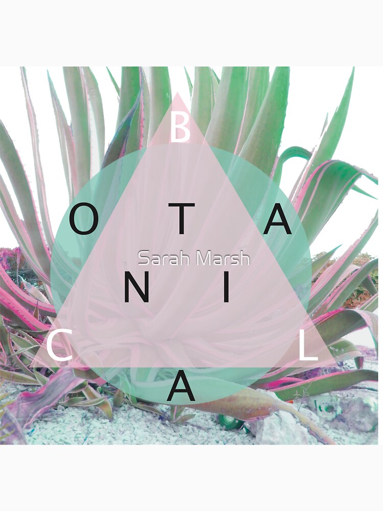 Botanical graphic art and photography by Sarah Marsh