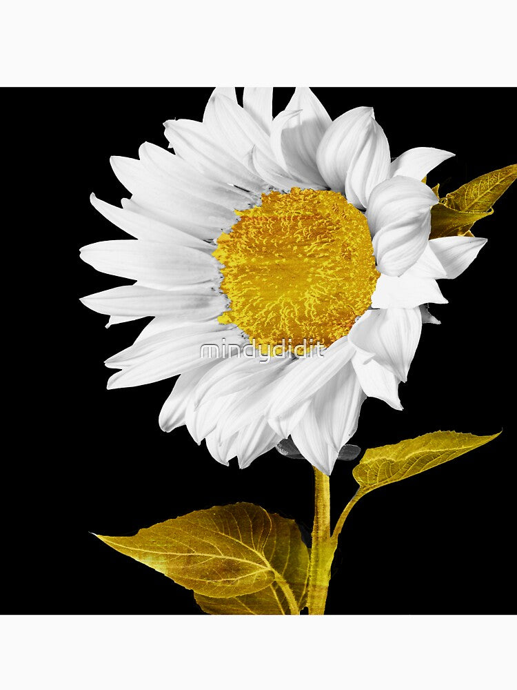 Gold Hearted by Sasha Art Gallery