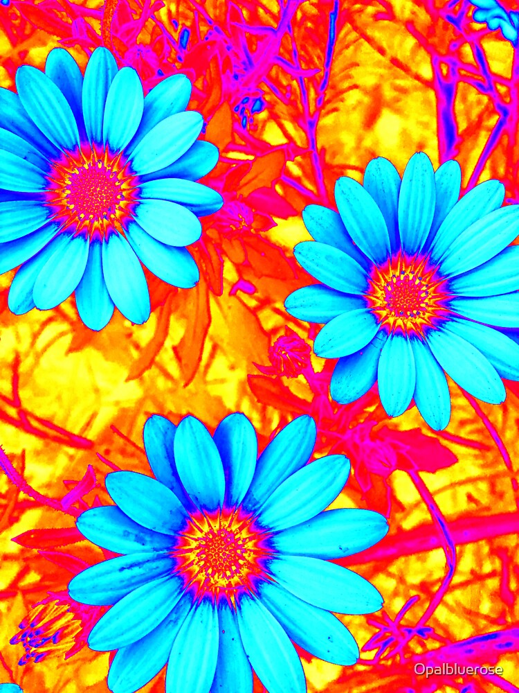 AQUA DAISYS FOR U by Opalbluerose