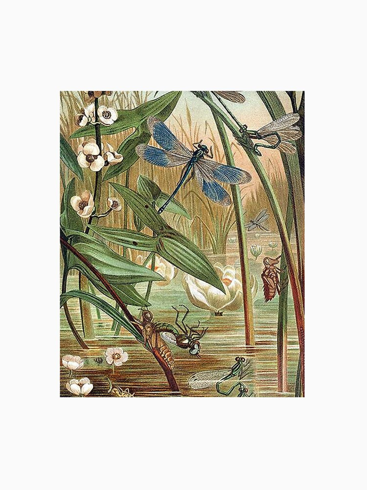 Vintage Flora and Fauna Art Design by Eva Vincent