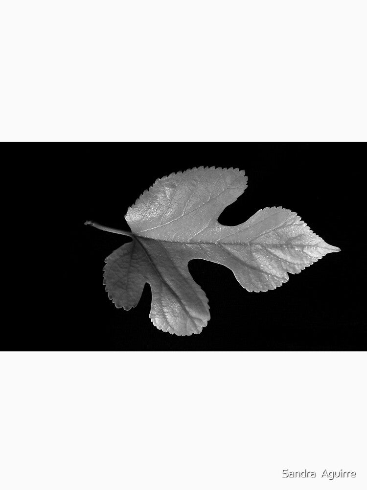 LEAF IN BLACK AND WHITE (2) by Sandra  Aguirre