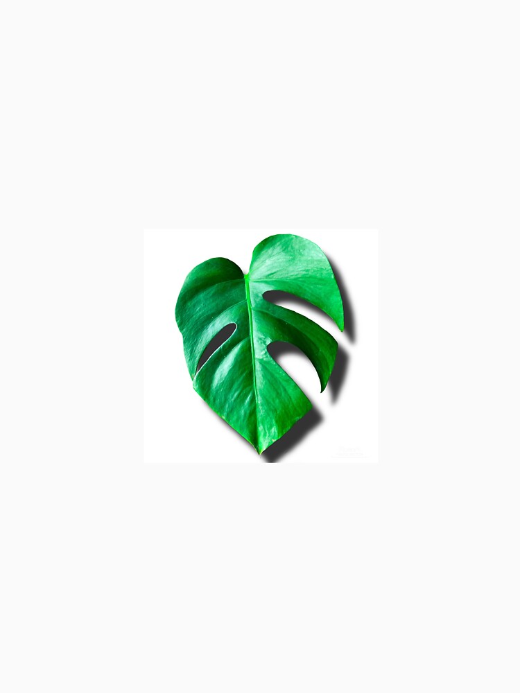Monstera Leaf Sticker by theplantgirl116
