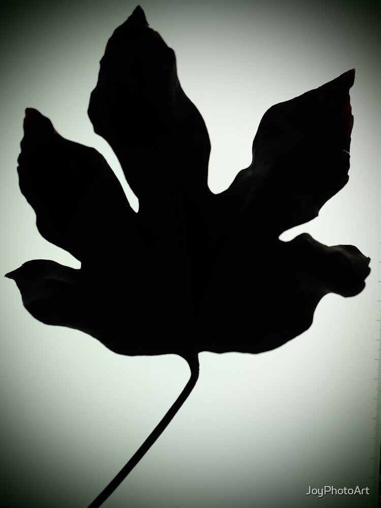 Autumn Giant Leaf by JoyPhotoArt