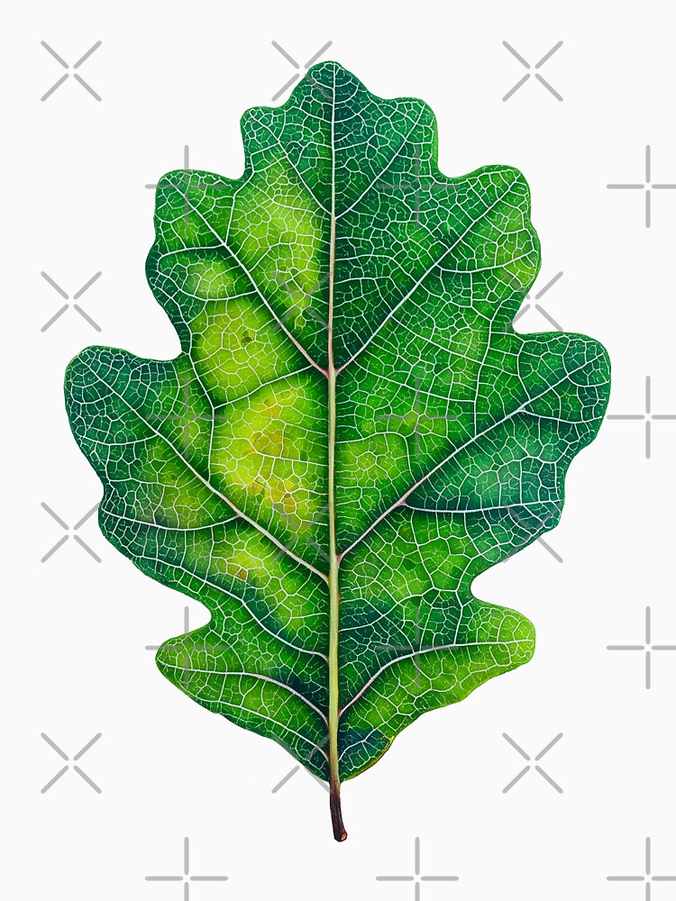 Green Oak Leaf by Swedeprep