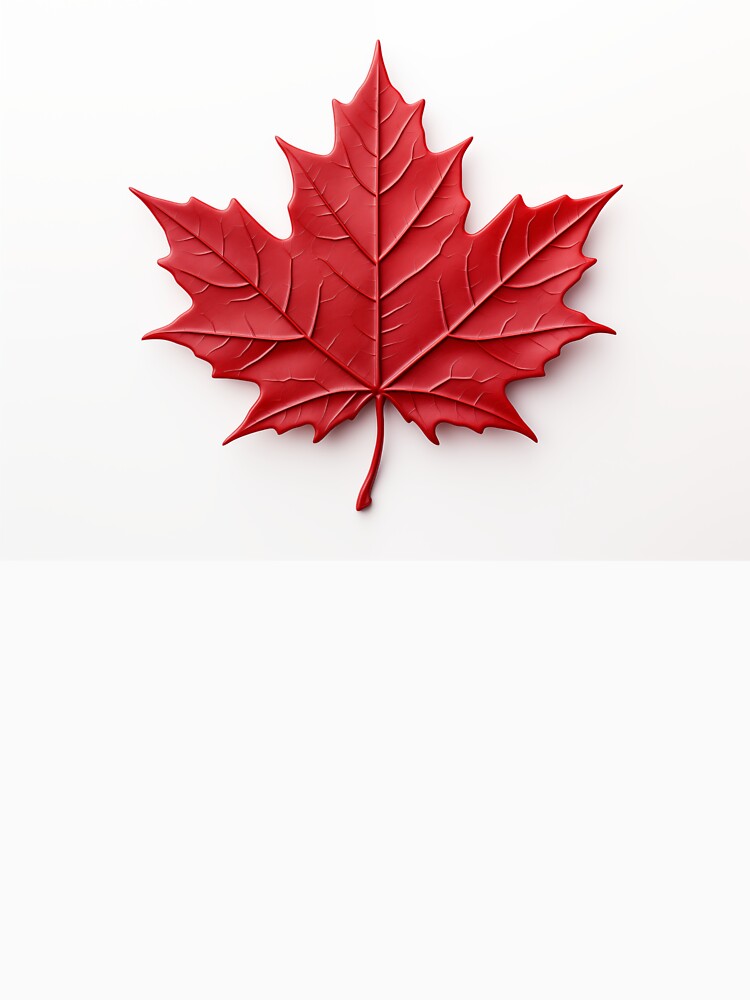 Red Maple Leaf by Roxane Bay