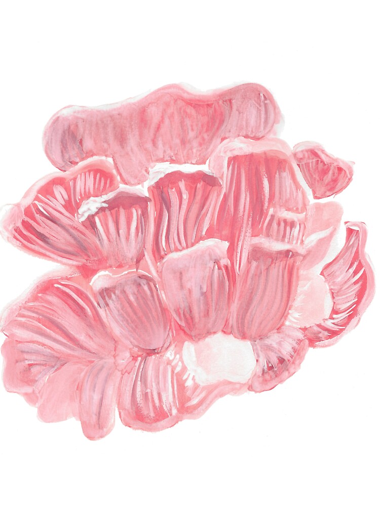 Oyster Mushroom Watercolor by brittsbotanical