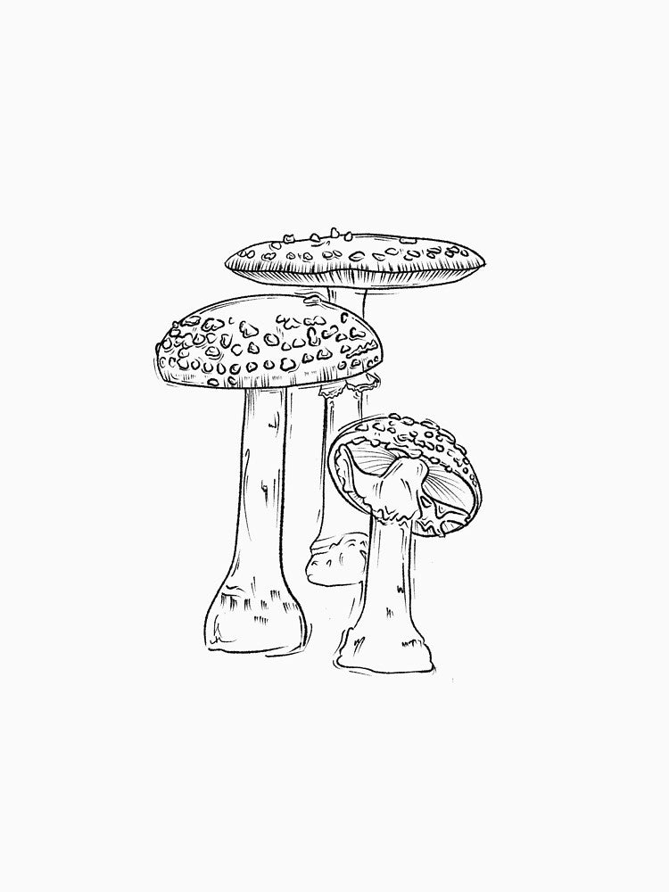 Fly Argaric Mushroom (Amanita muscaria) by artwithkristen