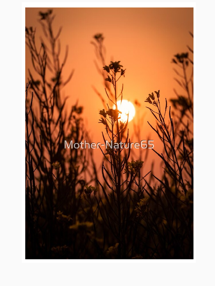 Flower Silhouette Sunset Photographic Print by Mother-Nature65