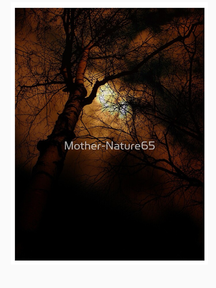 Sunset Behind Silhouetted Trees Photographic Print by Mother-Nature65