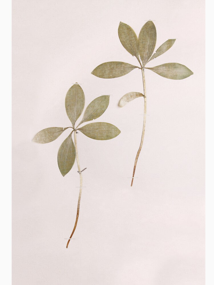 Green Leaf Watercolor by newburyboutique