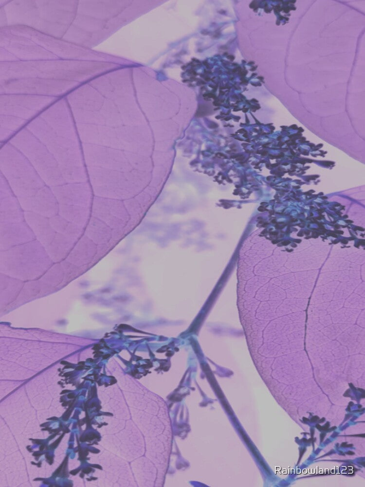 Purple Leaf by Rainbowland123
