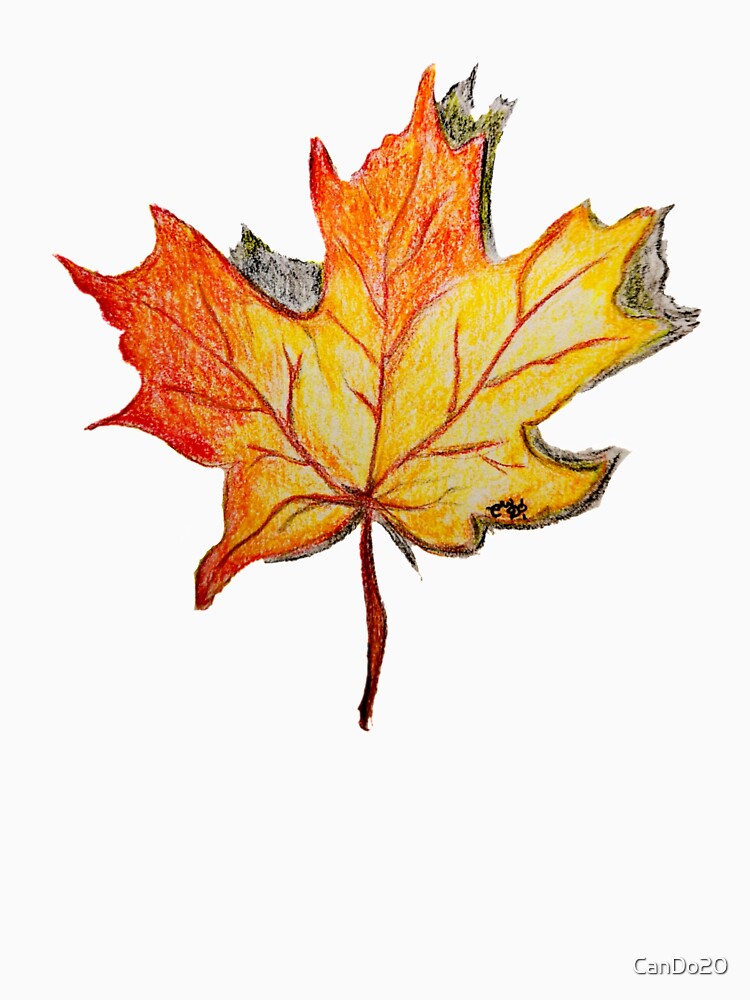 Maple leaf by CanDo20