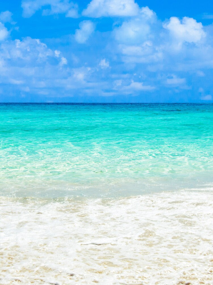 Tropical Beach Landscape by JTS STORE