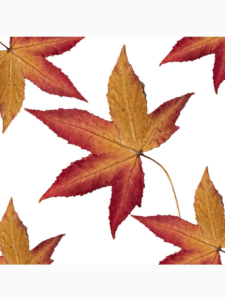 Dry leaf design by Made4You-Hub
