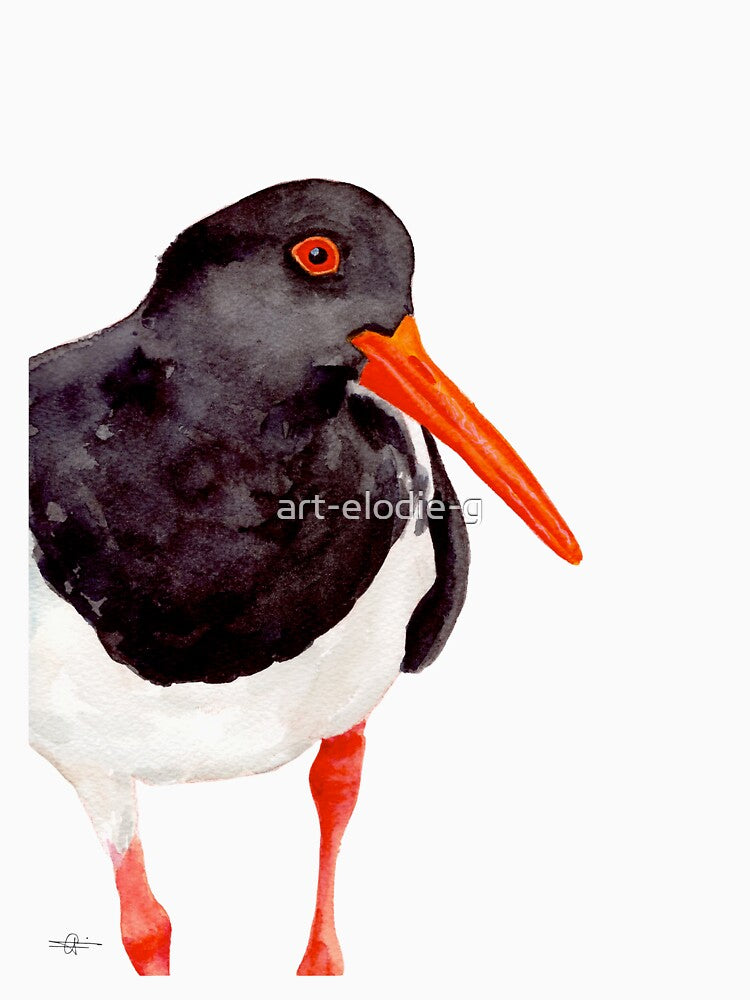 Eurasian Oystercatcher bird watercolour painting by art-elodie-g