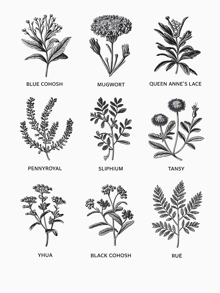 Herbal Vintage Botanical Illustration for Nature Lovers by TheWizArt