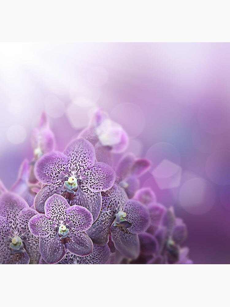 Pretty Purple Floral Merchandise by cindyfordyce