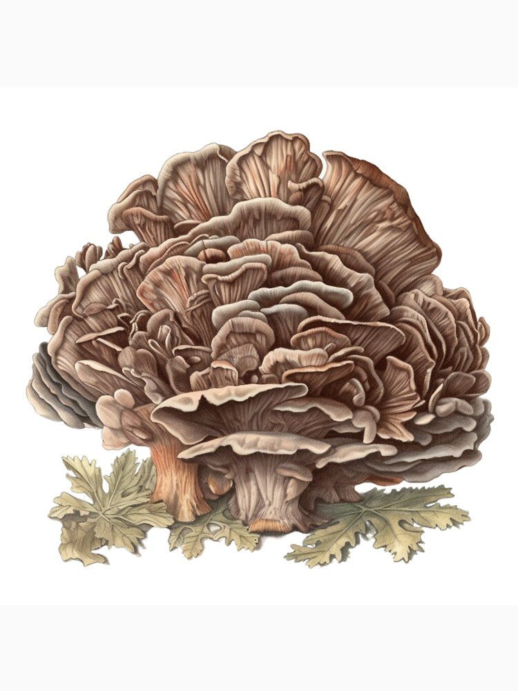 Maitake by DigitalPalette1