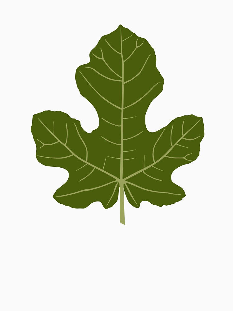 fig leaf by sweetb3rry