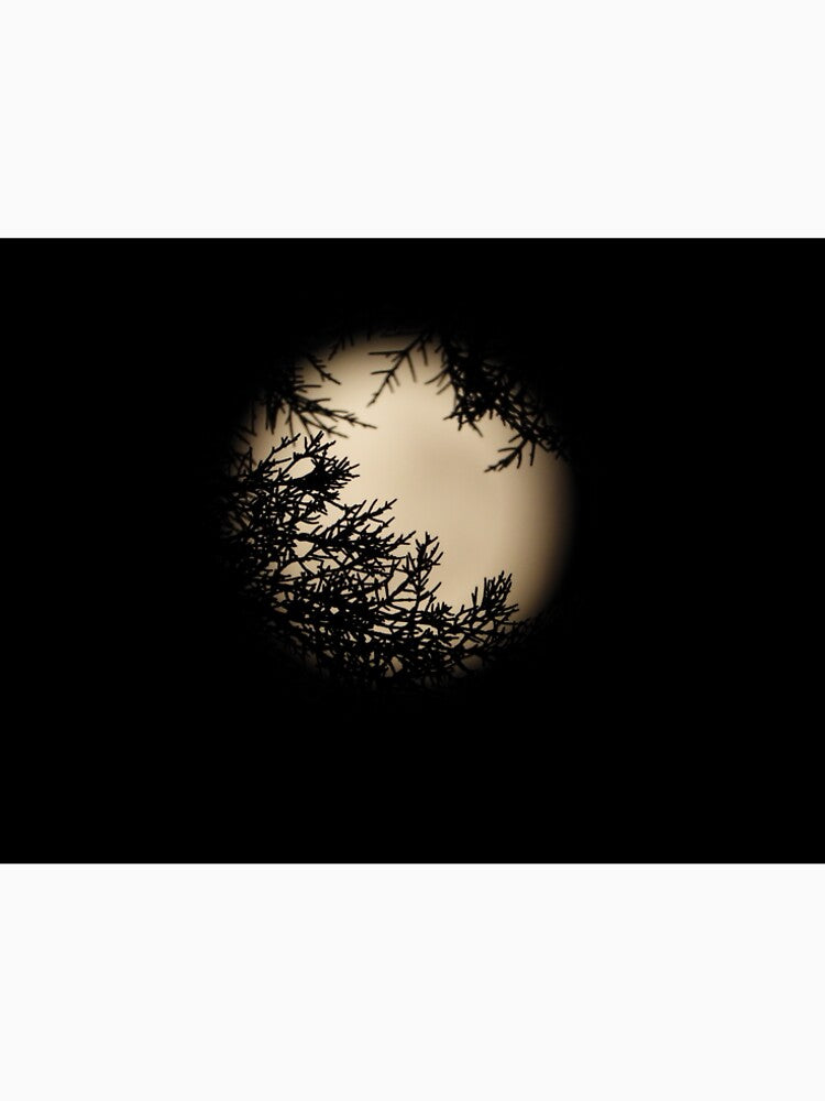 Full moon behind the trees by MissPell