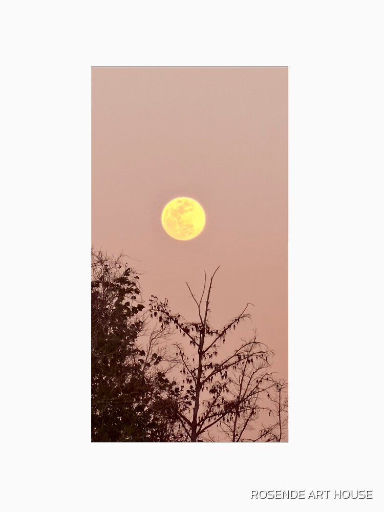 Yellow Moon by ROSENDE ART HOUSE