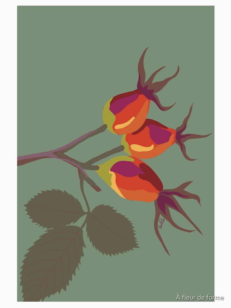 Rosehip berries – Minimalist illustration by À fleur de forme