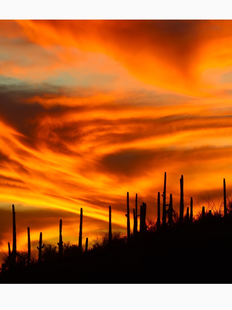 Beautiful Desert Sunset by simonjayphotos