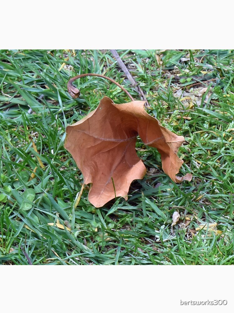 Brown Leaf by bertsworks300