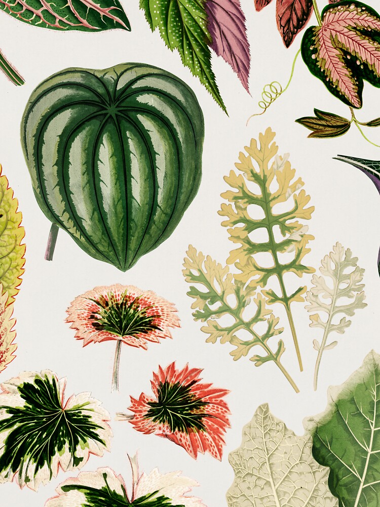 Green Botanical Leaf Print Pattern by newburyboutique
