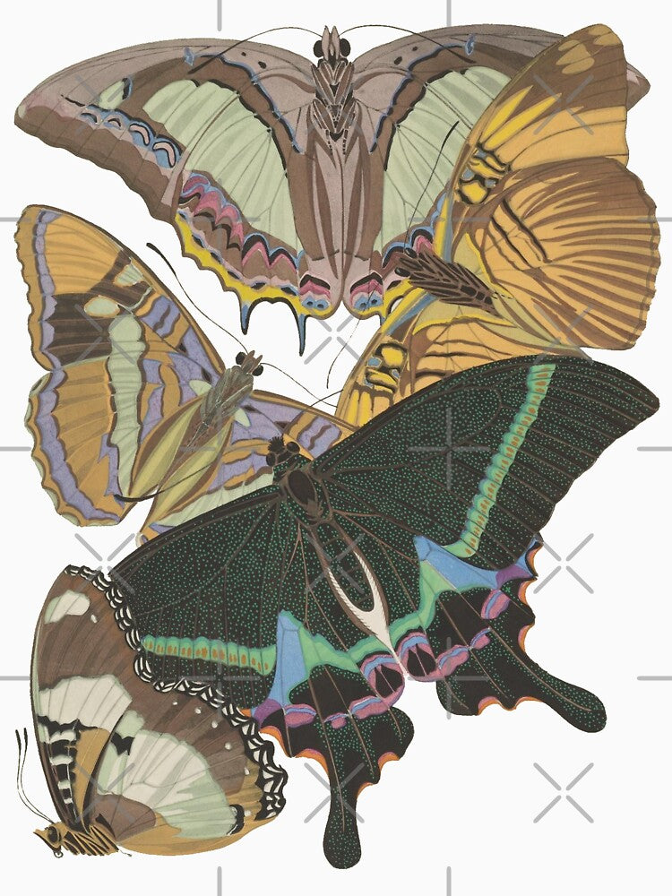 Vintage Botanical Butterfly Print by Veriepear
