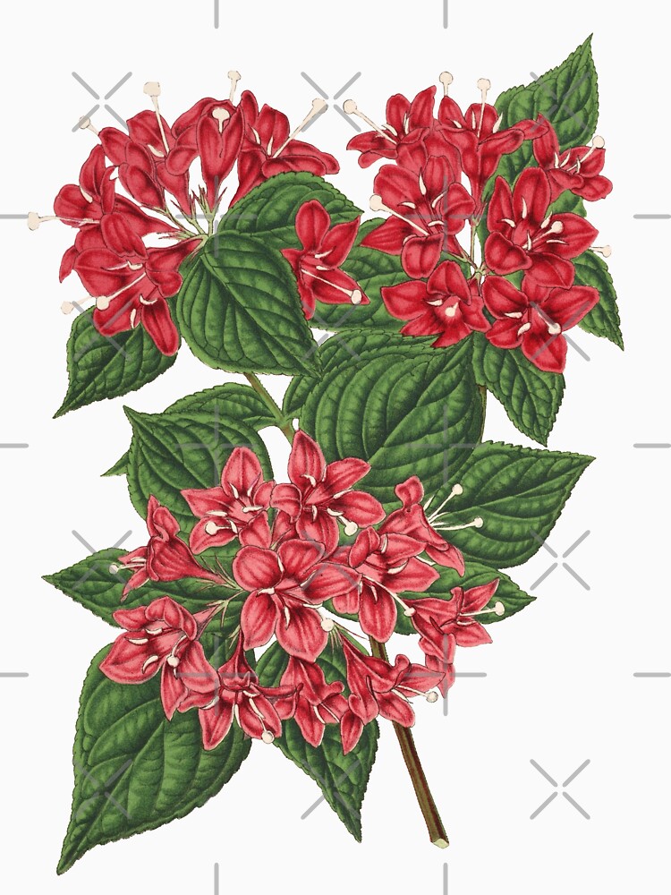 Pink Flowers Botanical Print by Veriepear