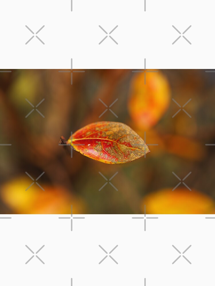 Crepe Myrtle Tree Leaf by Joy Watson - Natural Light Photography