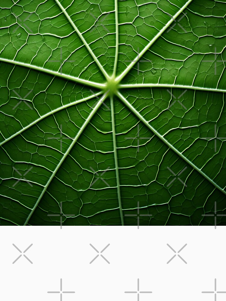stunning green leaf macro photography art print by dcrc