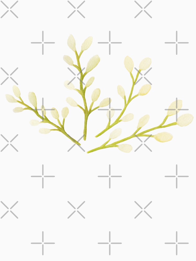 Freesia by cadstudios