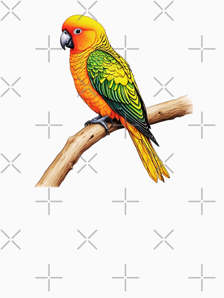 Sun Conure Bird by TheAnimalZ00