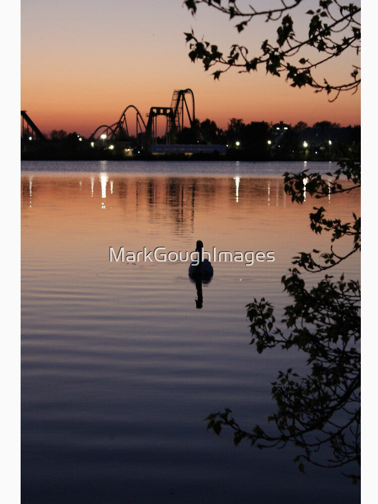 The Sunset Swan Silhouette by MarkGoughImages