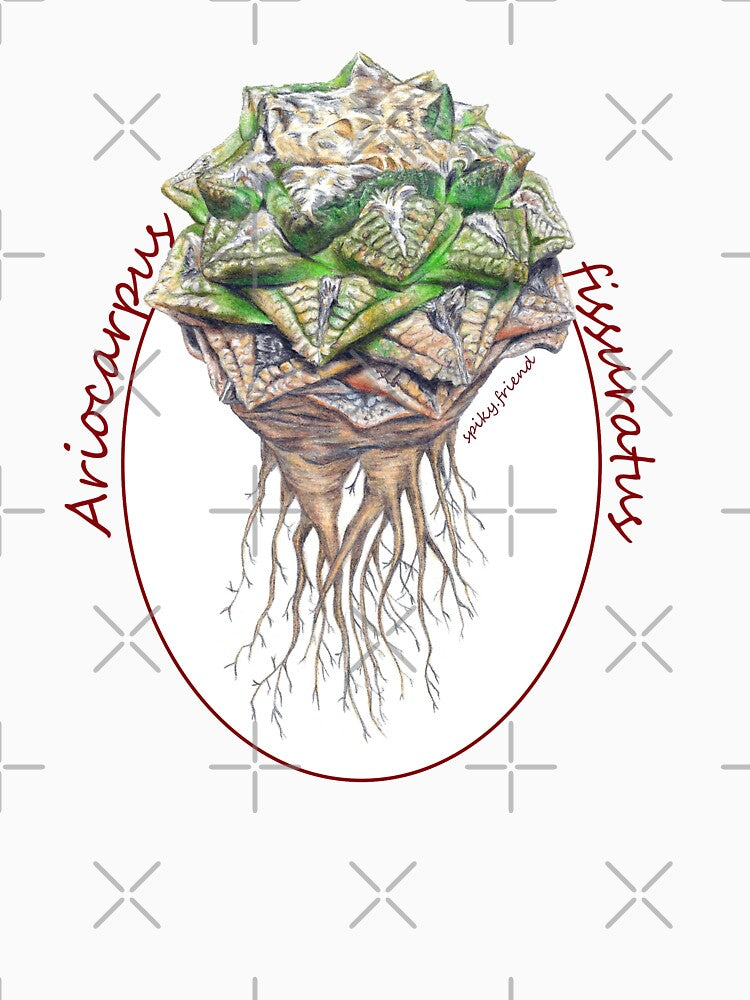 Design Ariocarpus fissuratus by spiky-friend