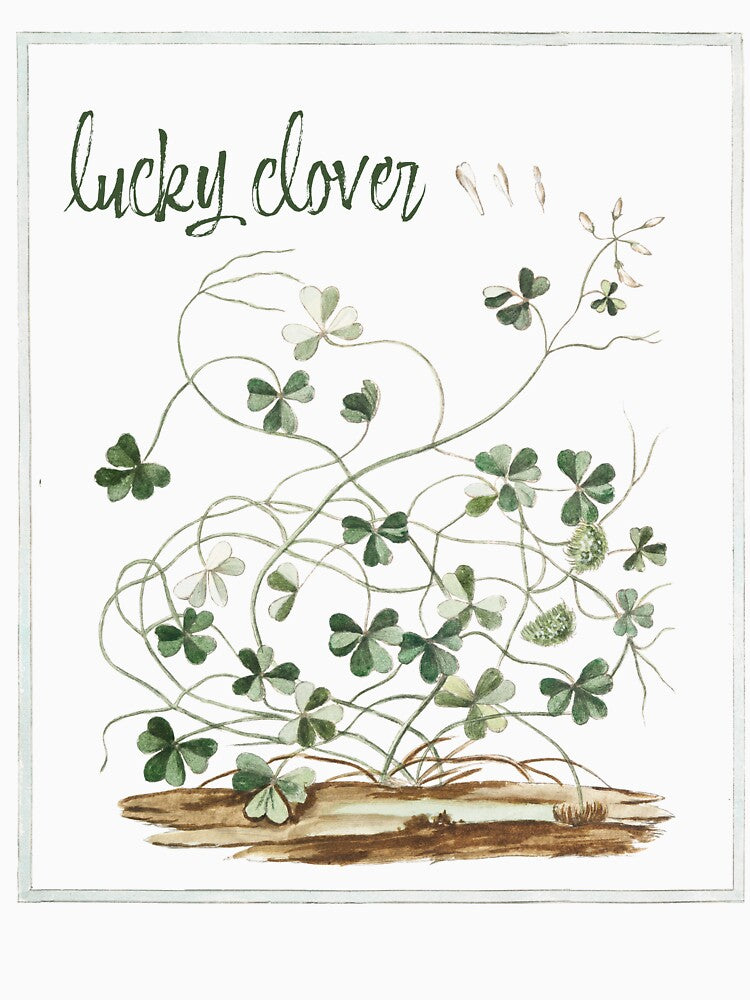 Lucky Clover Vintage Botanical Illustration by AggyCreatif