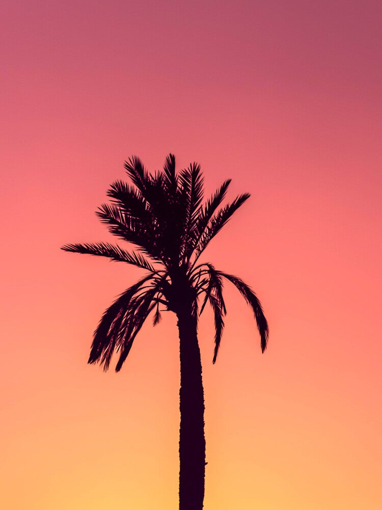 Tropical Pink Palm Trees Sunset by newburyboutique